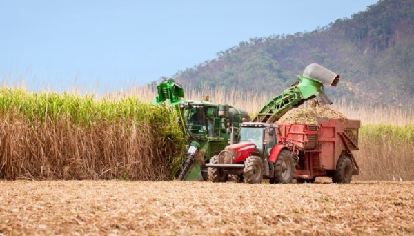 Afyren chooses Mitr Phol to expand its low-carbon technology in Asia