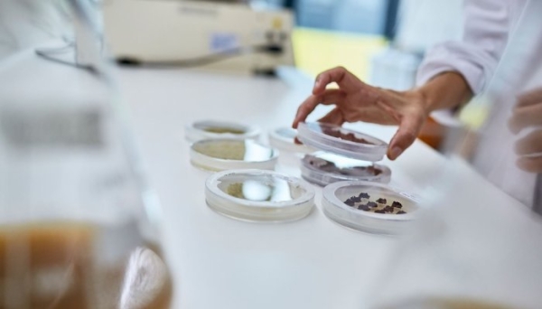 Robertet partners with Aethera to strengthen its offer of active ingredients