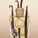 Coty marked a highlight of its 120th anniversary celebrations with an exclusive three-day fragrance event in the heart of Paris (Photo: Coty Inc.)