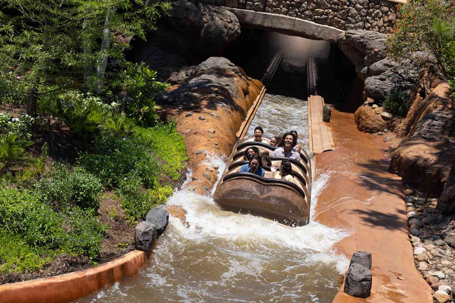 Beyond the Gates: Disneyland's Elite Thrills, Unveiled. 37