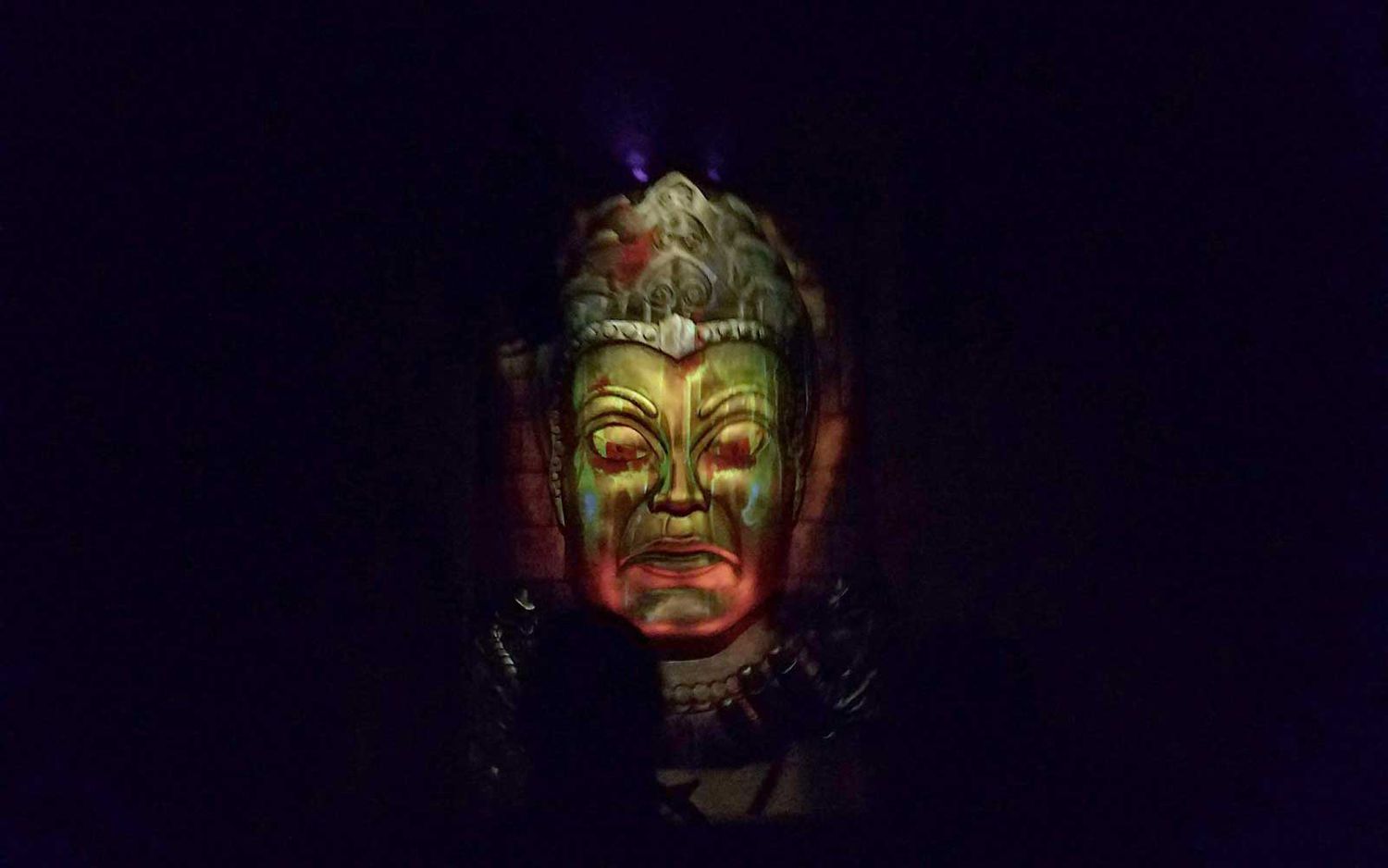 Beyond the Gates: Disneyland's Elite Thrills, Unveiled. 31