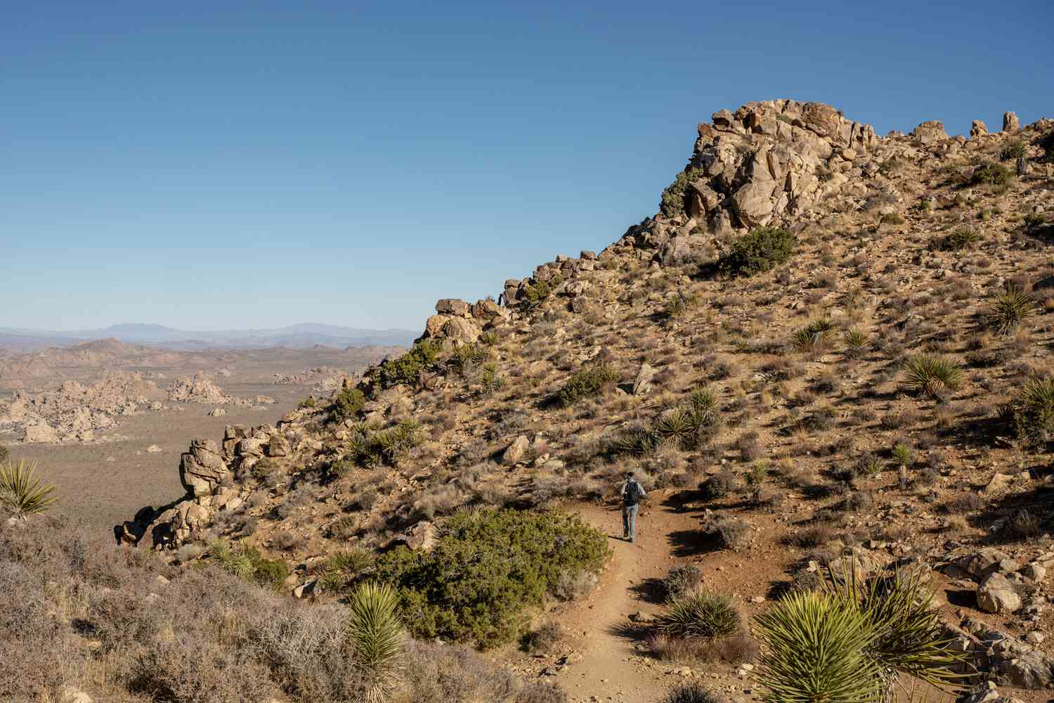Joshua Tree: Where Desert Minimalism Meets Celestial Grandeur 10