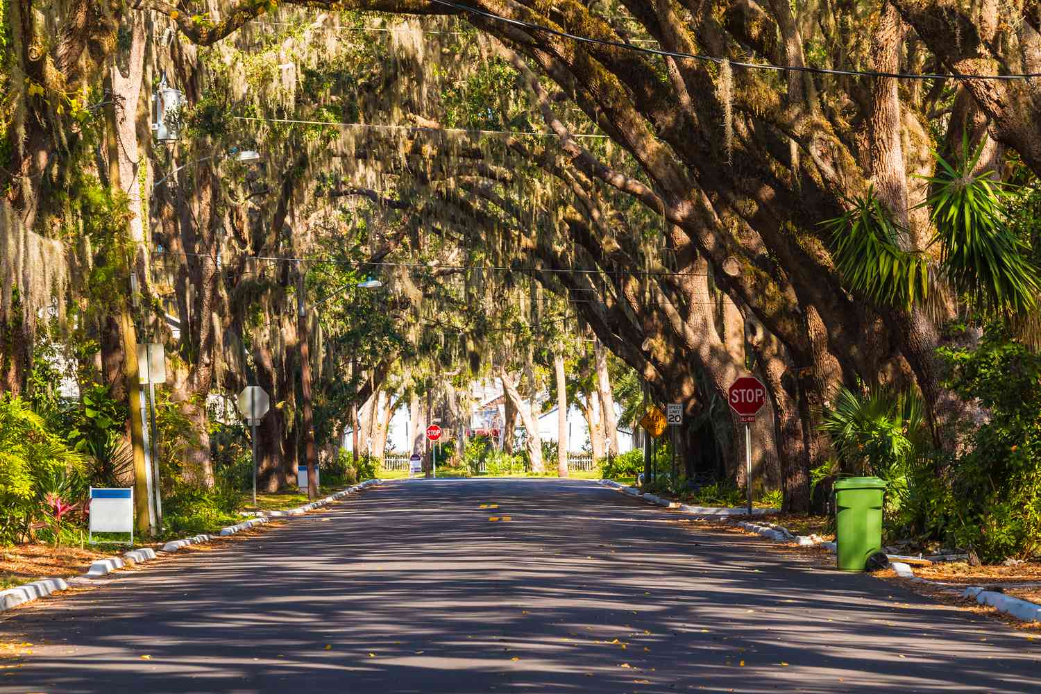 St. Augustine: Unlocking America's Oldest City's Most Coveted Experiences 19