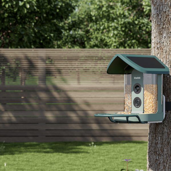 AI-Powered Bird Feeder Redefines Backyard Wildlife Observation