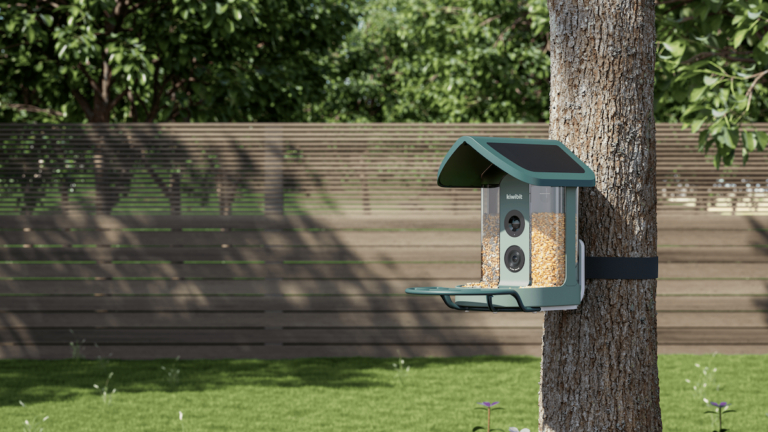 AI-Powered Bird Feeder Redefines Backyard Wildlife Observation 6