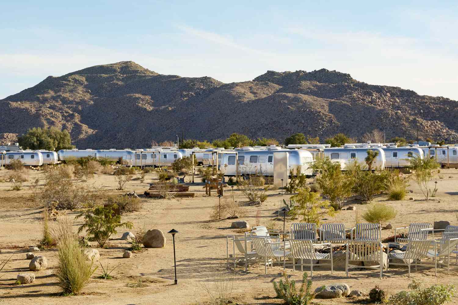 Joshua Tree: Where Desert Minimalism Meets Celestial Grandeur 15