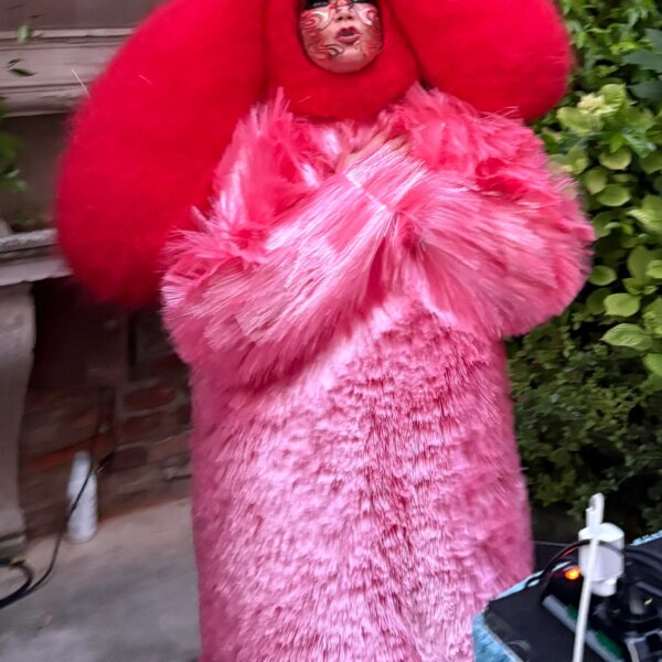 Business Style news 120 Björk’s Venice Debut: A Fiberglass Masterpiece Meets Euphoric Soundscape