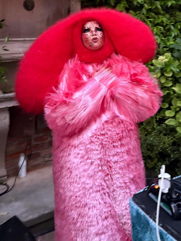 Björk's Venice Debut: A Fiberglass Masterpiece Meets Euphoric Soundscape 23