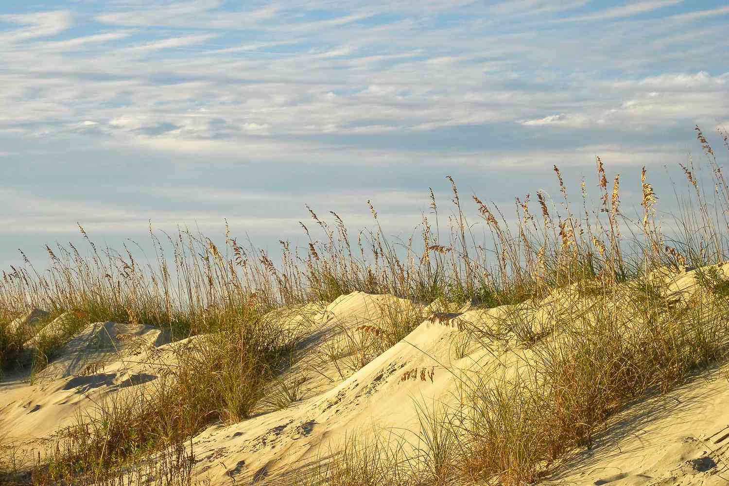 America's Emerald Shores: Beyond the Horizon's Pristine American Coasts 38
