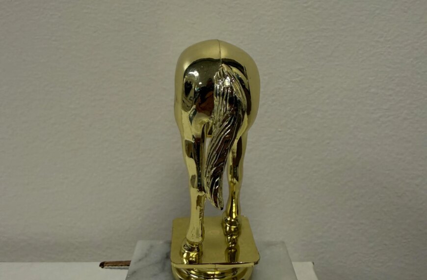 Elon Musk’s Jackass Trophy: A Symbol of Audacity and Controversy