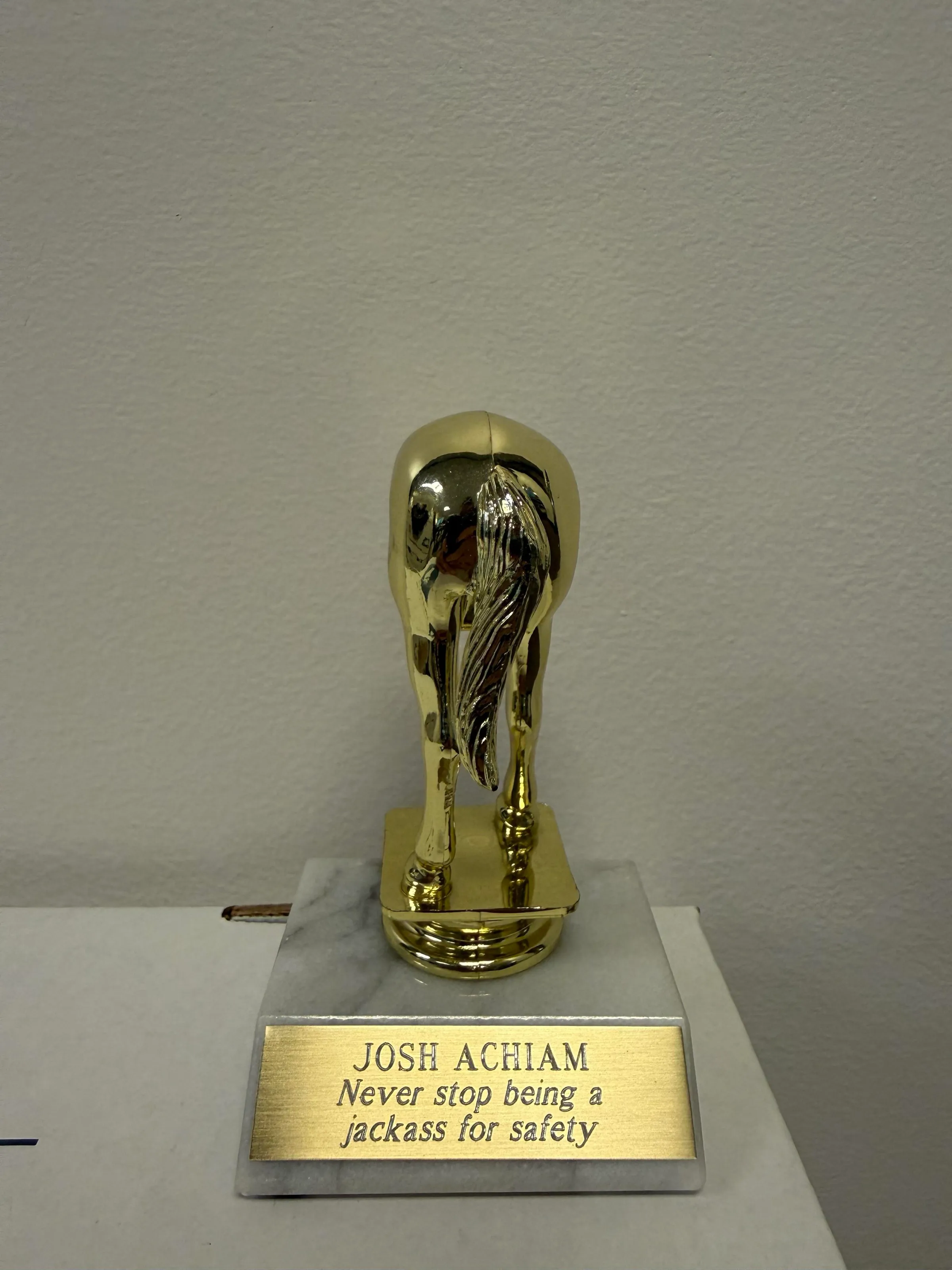 Elon Musk's Jackass Trophy: A Symbol of Audacity and Controversy 2