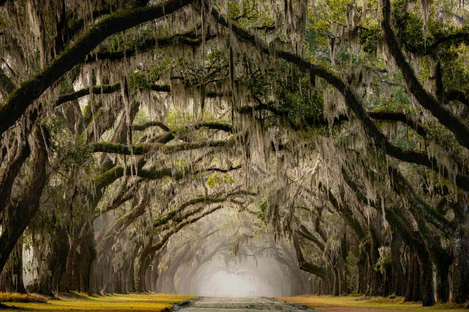 The World Awaits: Curated Journeys for Your Thriving 30s 16