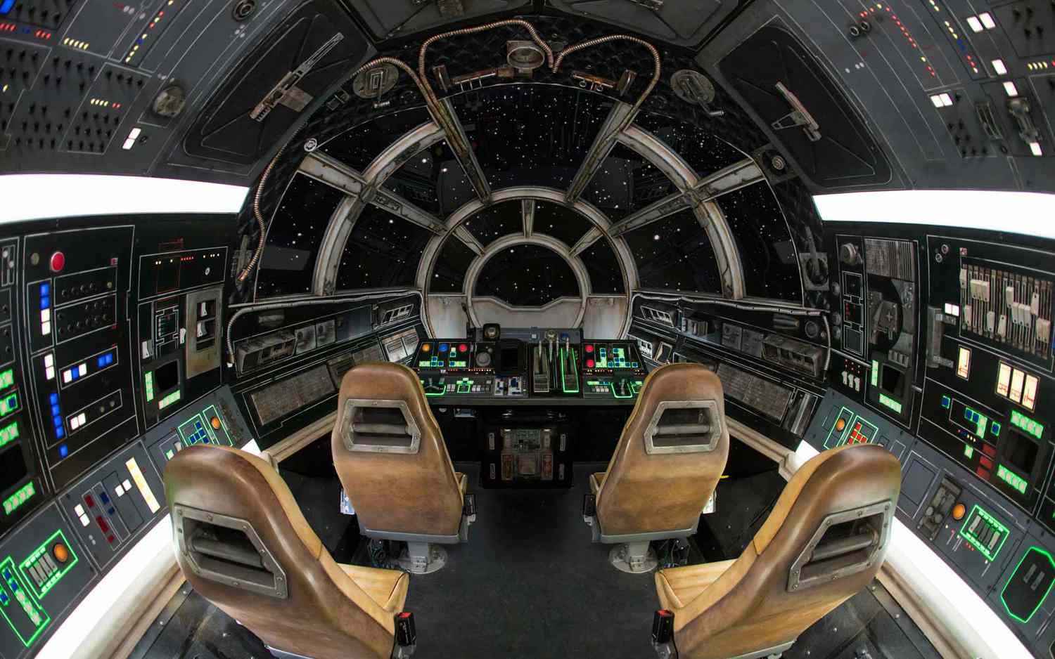 Beyond the Gates: Disneyland's Elite Thrills, Unveiled. 45
