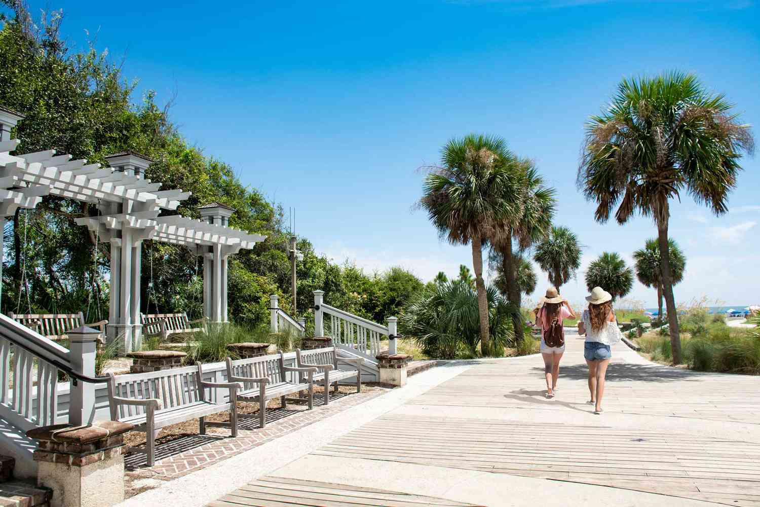 America's Emerald Shores: Beyond the Horizon's Pristine American Coasts 46