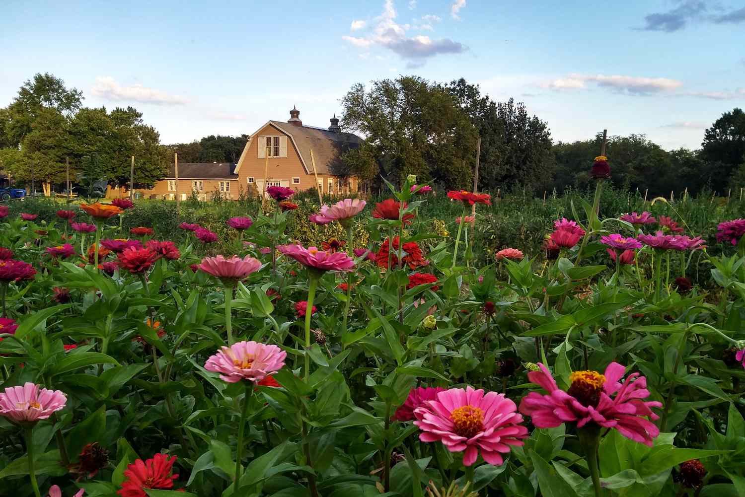 Beyond the Velvet Ropes: New York's Most Coveted Cultural Sanctuaries 38