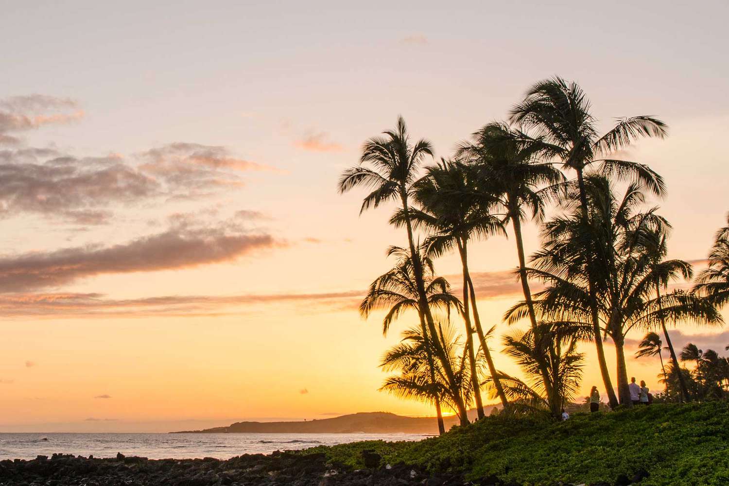America's Emerald Shores: Beyond the Horizon's Pristine American Coasts 50