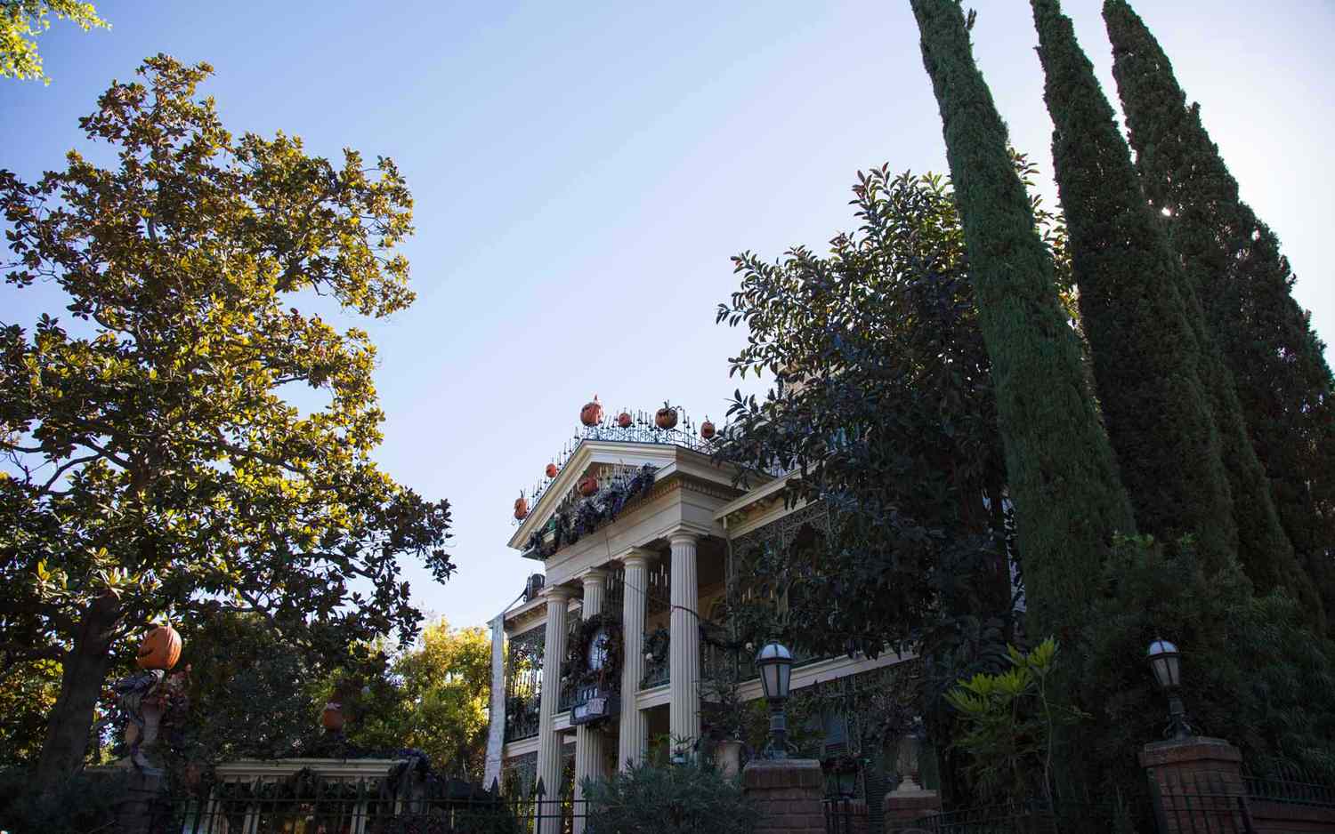 Beyond the Gates: Disneyland's Elite Thrills, Unveiled. 33