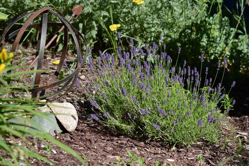 A Symphony of Summer Blooms: Cultivating an Elite Palette 47