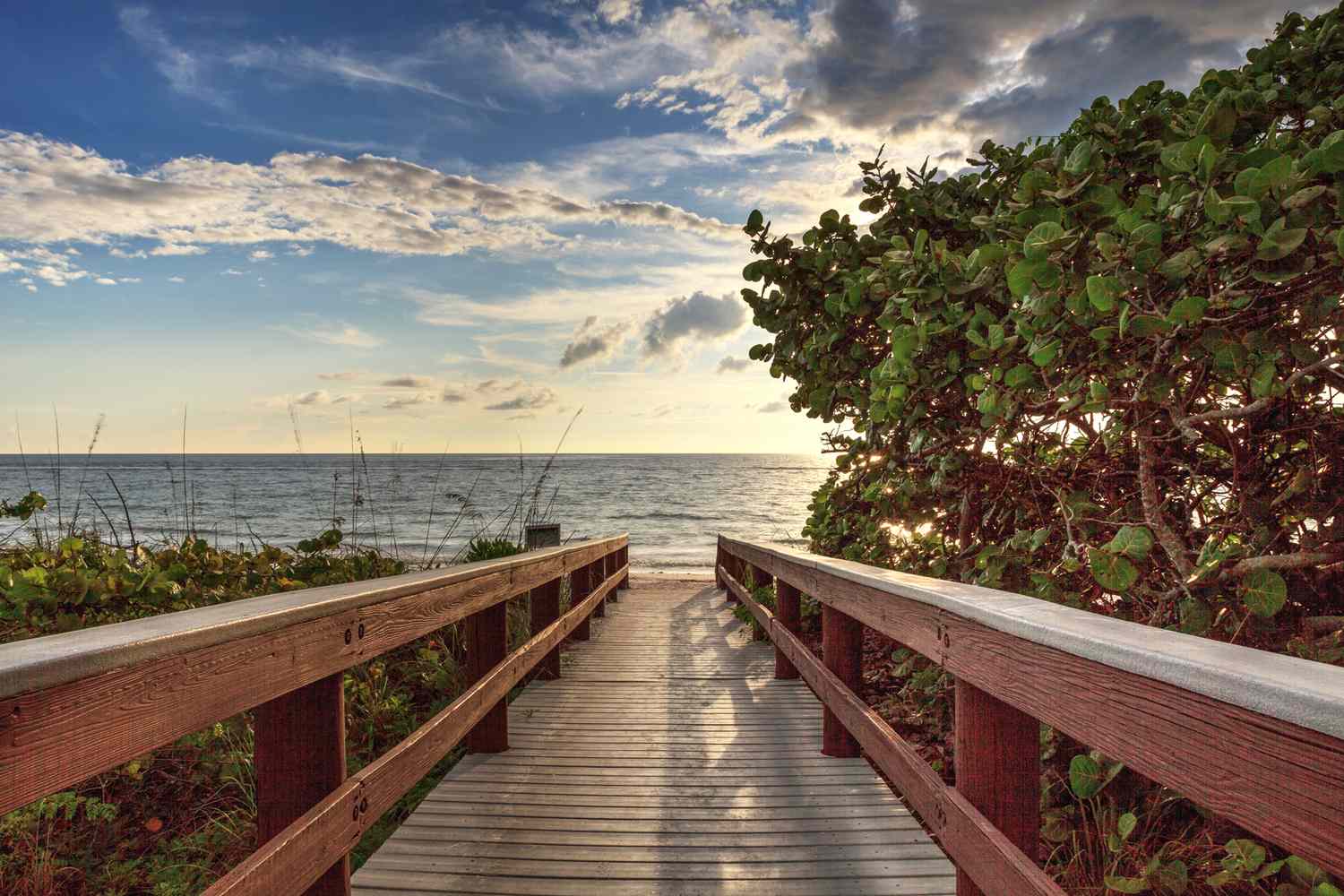 Florida's Sun-Kissed Sanctuary: Where Retirement Meets Endless Sunshine 2