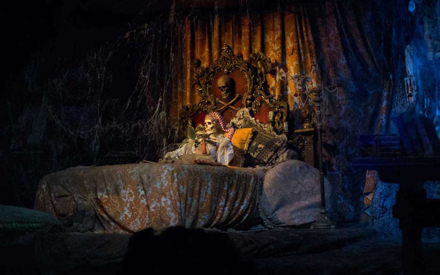Beyond the Gates: Disneyland's Elite Thrills, Unveiled. 32