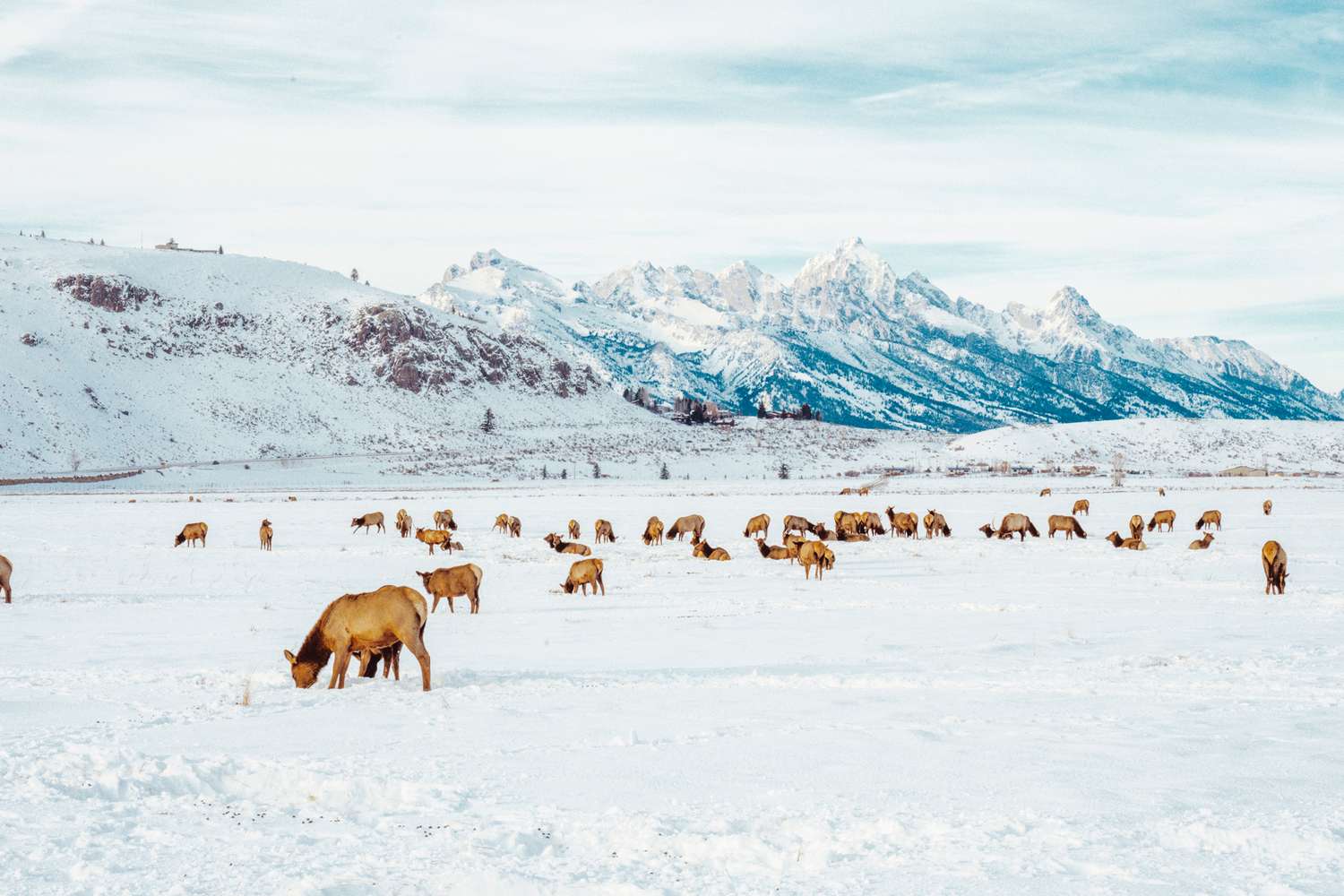 Whispers of Winter: Unlocking America's Most Exclusive Fireside Escapes 19
