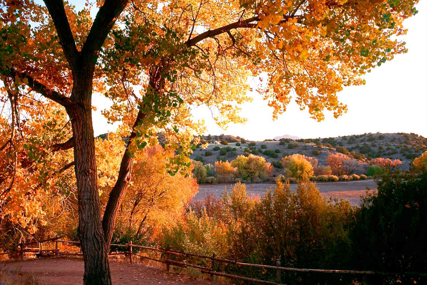 Enchanting New Mexico: Uncover Its Secret Treasures, As Revealed By Those Who Know It Best 30