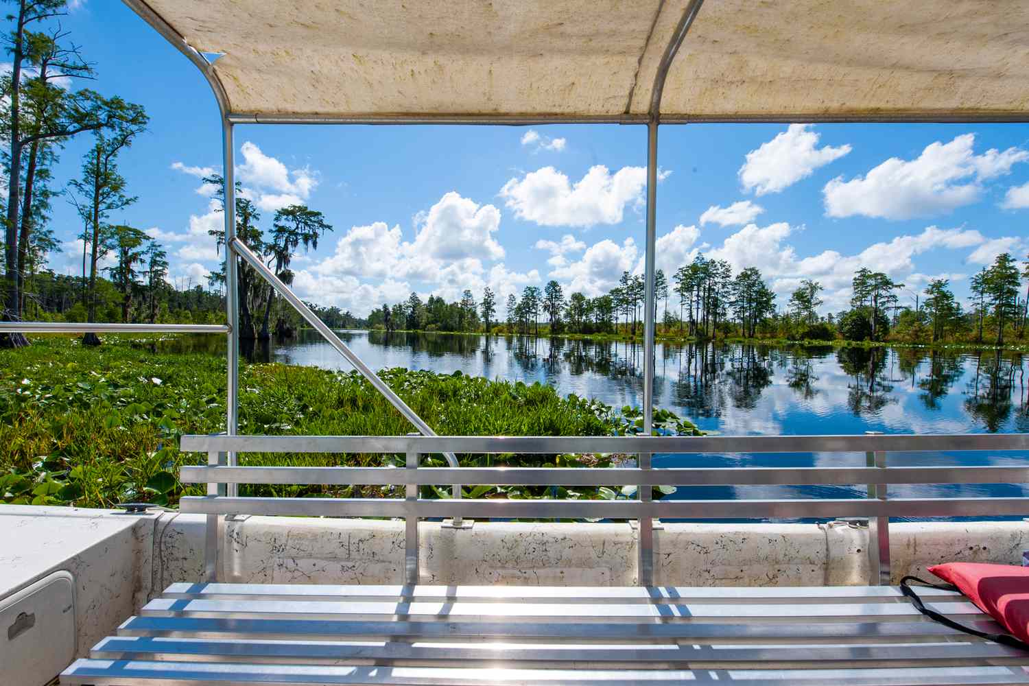 Voyage into Georgia's Untamed Heart: The Okefenokee's Secret Charms 8