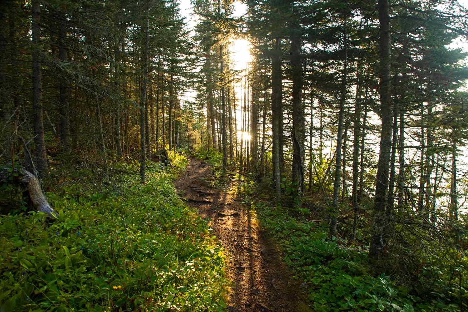 Whispers of Isle Royale: Lake Superior's Untamed Crown Jewel Awaits 5