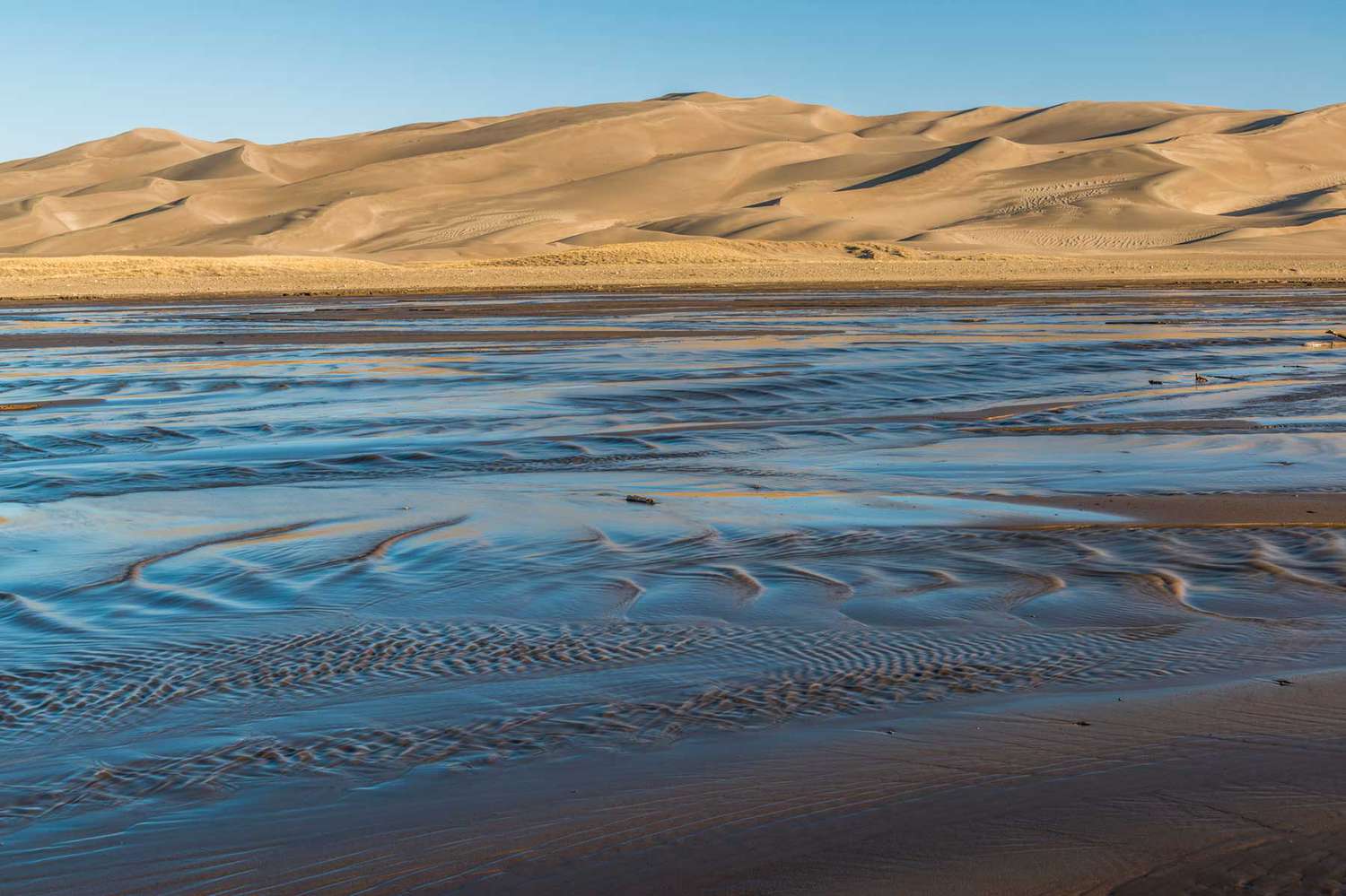 America's Emerald Shores: Beyond the Horizon's Pristine American Coasts 37