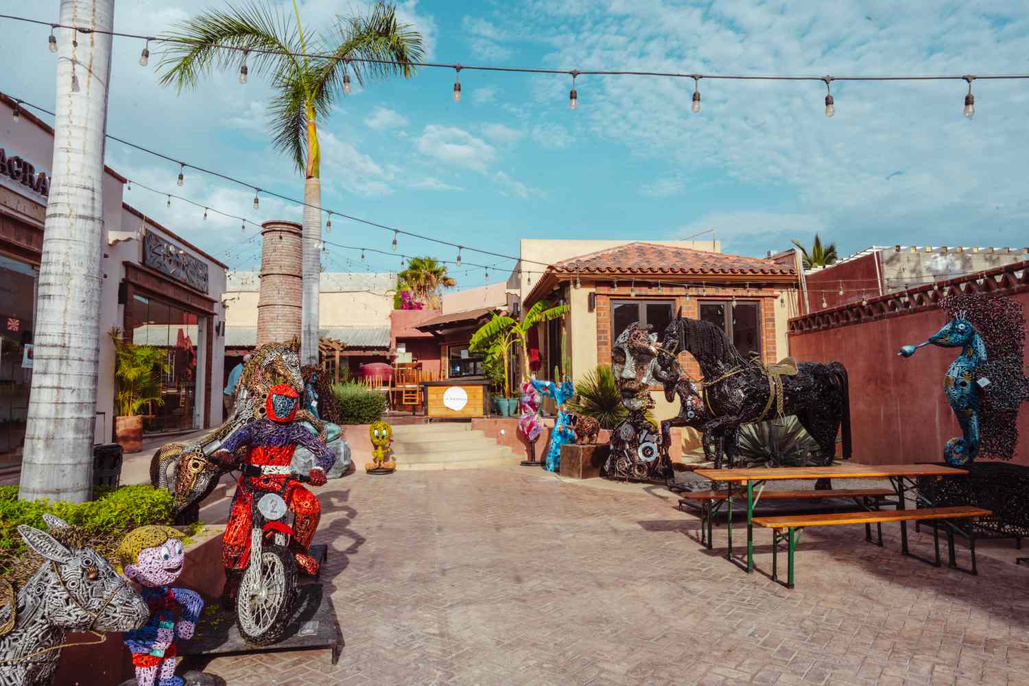 Discover Los Cabos: 20 Unforgettable Escapes Beyond the Ordinary 19
