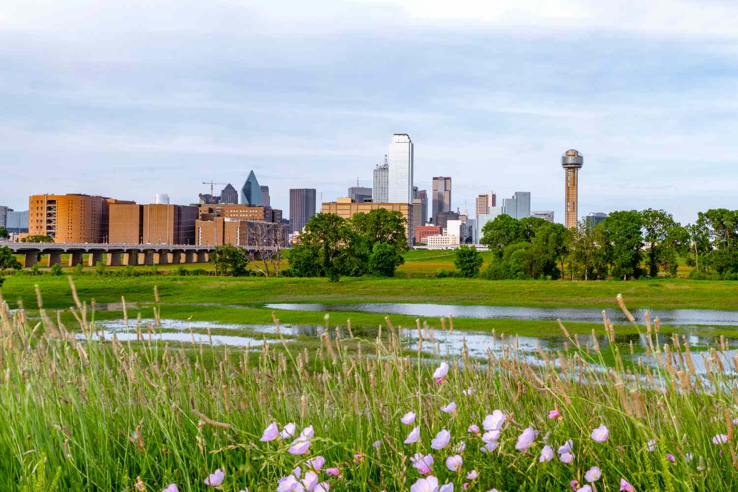 Beyond the Bloom: Unveiling Dallas's Most Exclusive Seasons 8