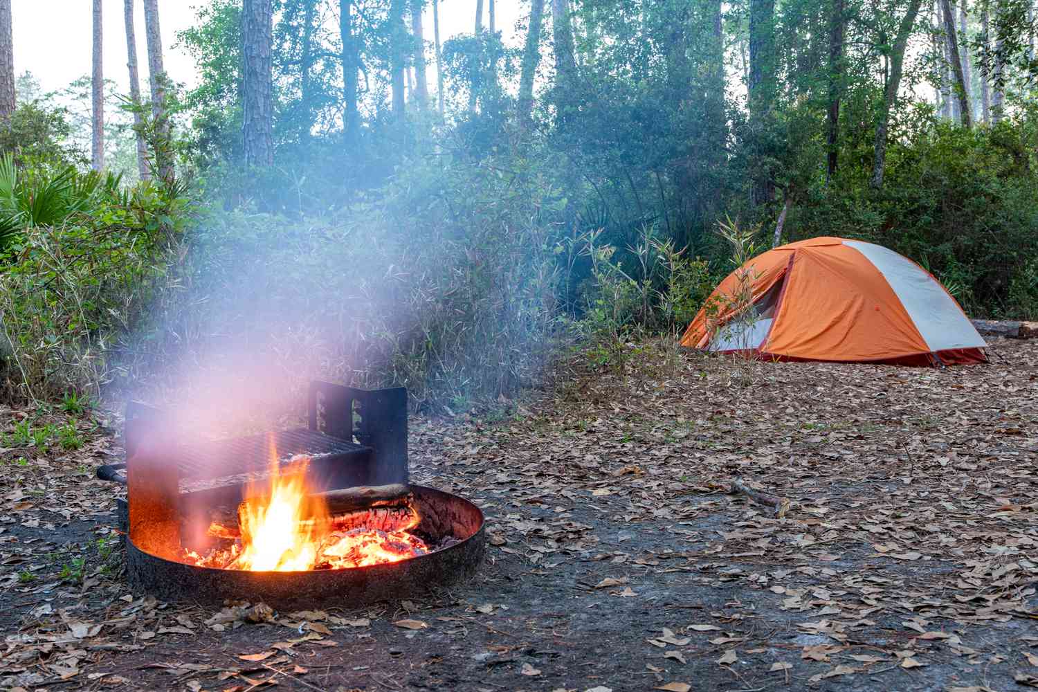 Voyage into Georgia's Untamed Heart: The Okefenokee's Secret Charms 12