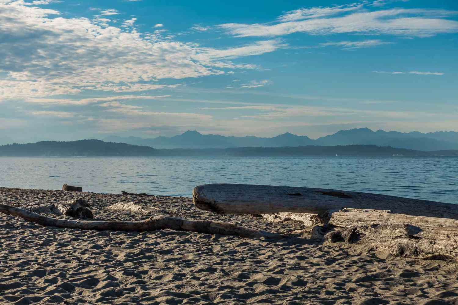 America's Emerald Shores: Beyond the Horizon's Pristine American Coasts 47