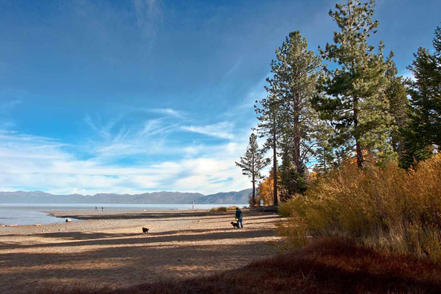 America's Emerald Shores: Beyond the Horizon's Pristine American Coasts 28