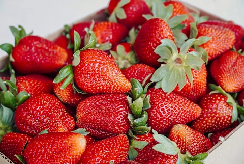 Unlock Peak Cognitive Function: The Surprising Superfood Secret for Ultimate Mental Clarity 13