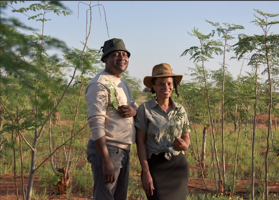 Africa's Untapped Potential: Why Global Leaders Are Missing the Sourcing Revolution 4