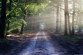 Sanctuary Within: Cultivating Resilience Through Inner Space 5