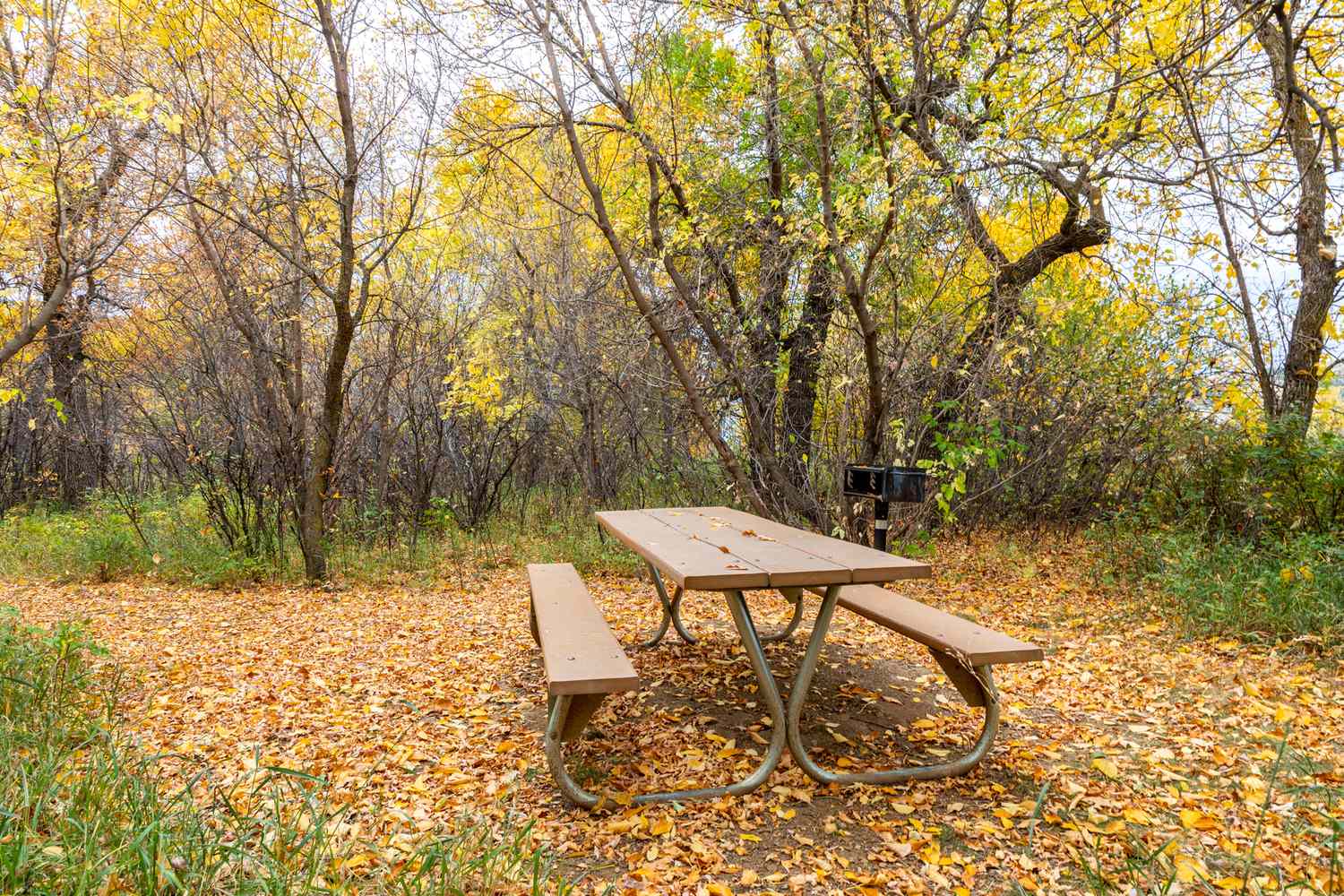 Dakota's Untamed Crown: A Sojourn into Theodore Roosevelt's Majestic Wilderness 14