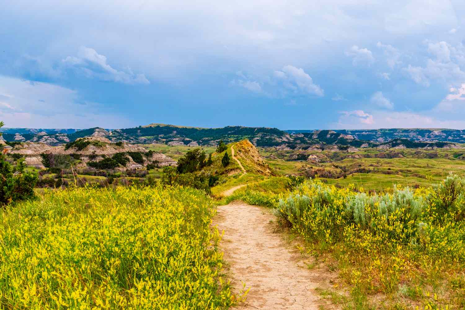 Dakota's Untamed Crown: A Sojourn into Theodore Roosevelt's Majestic Wilderness 12