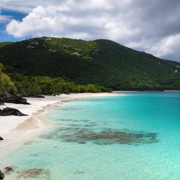 Virgin Islands’ Untamed Shores: Where Coral Gardens Bloom and Azure Waters Beckon