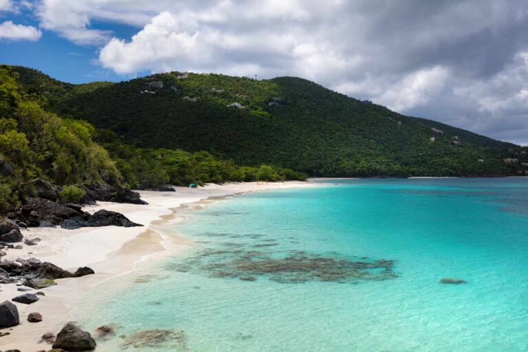 Virgin Islands' Untamed Shores: Where Coral Gardens Bloom and Azure Waters Beckon 27