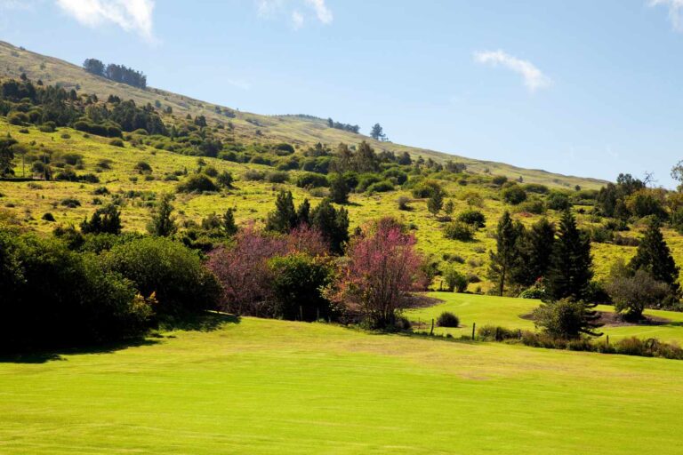 Beyond the Tourist Trail: Uncover Hawaii's Hidden Gems, Beloved by Islanders 15