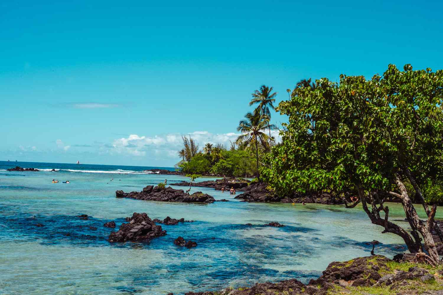 America's Emerald Shores: Beyond the Horizon's Pristine American Coasts 33