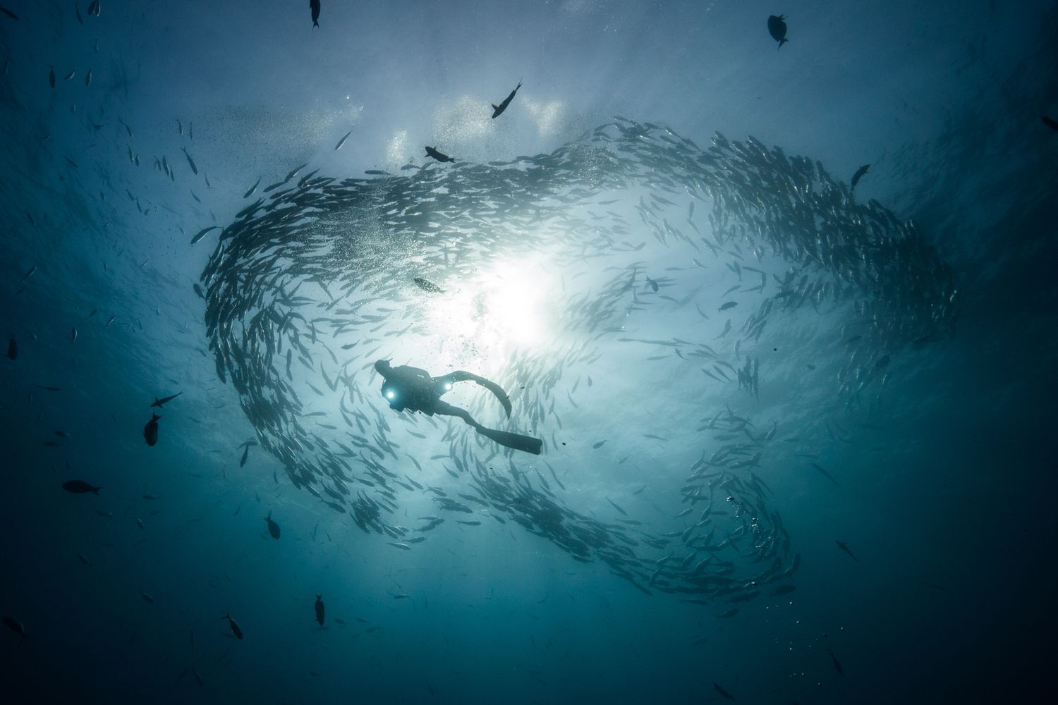 Discover Los Cabos: 20 Unforgettable Escapes Beyond the Ordinary 21