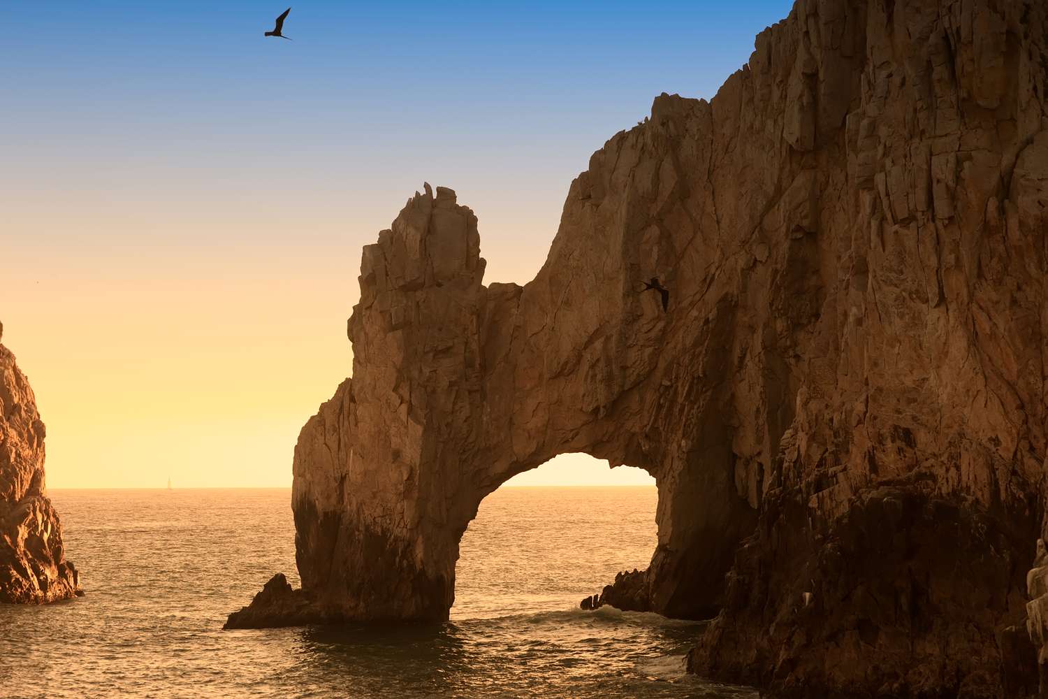 Discover Los Cabos: 20 Unforgettable Escapes Beyond the Ordinary 13