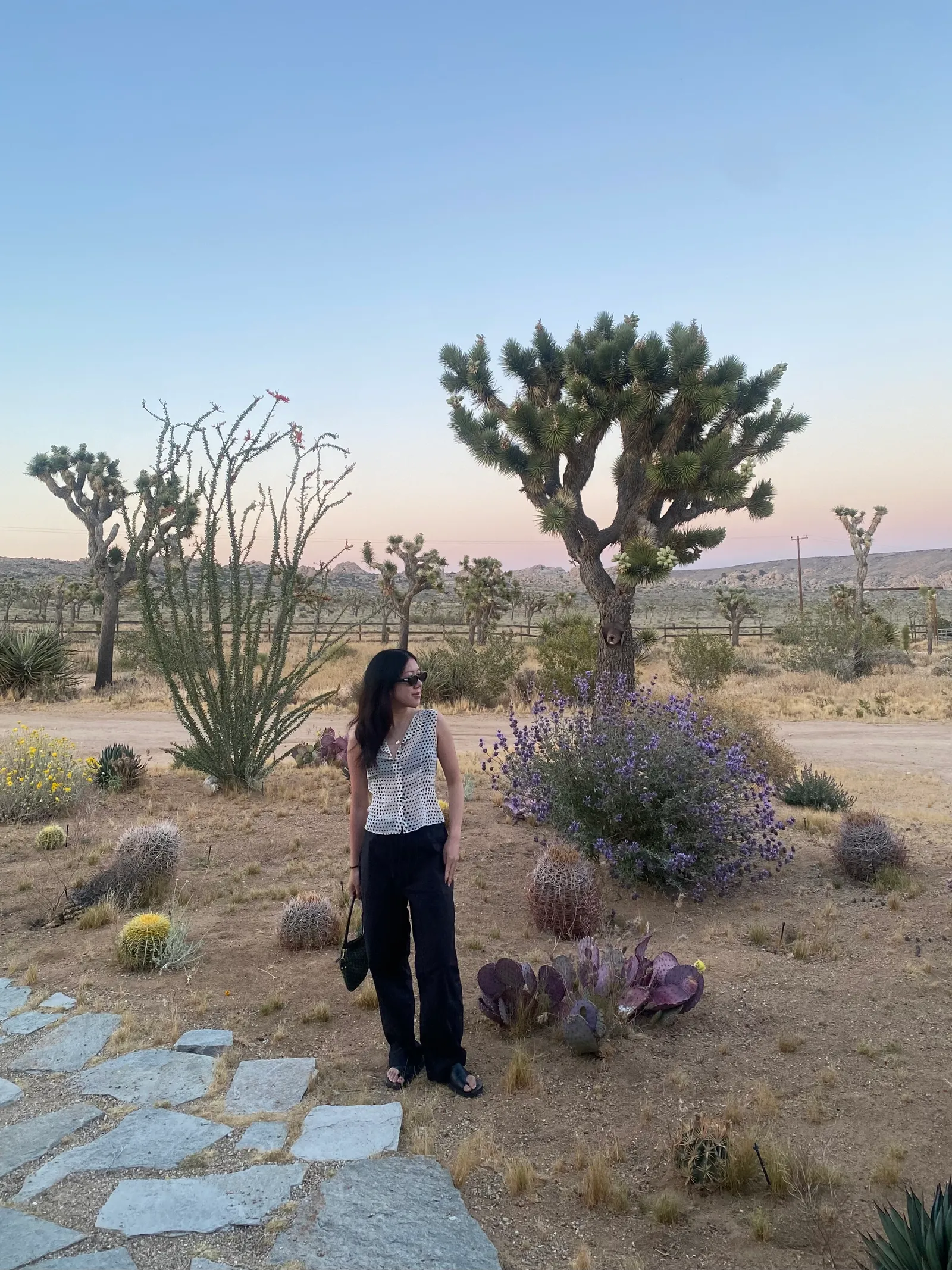 Pioneertown's Palatial Retreat: Where Heritage Meets Hedonistic Design 25