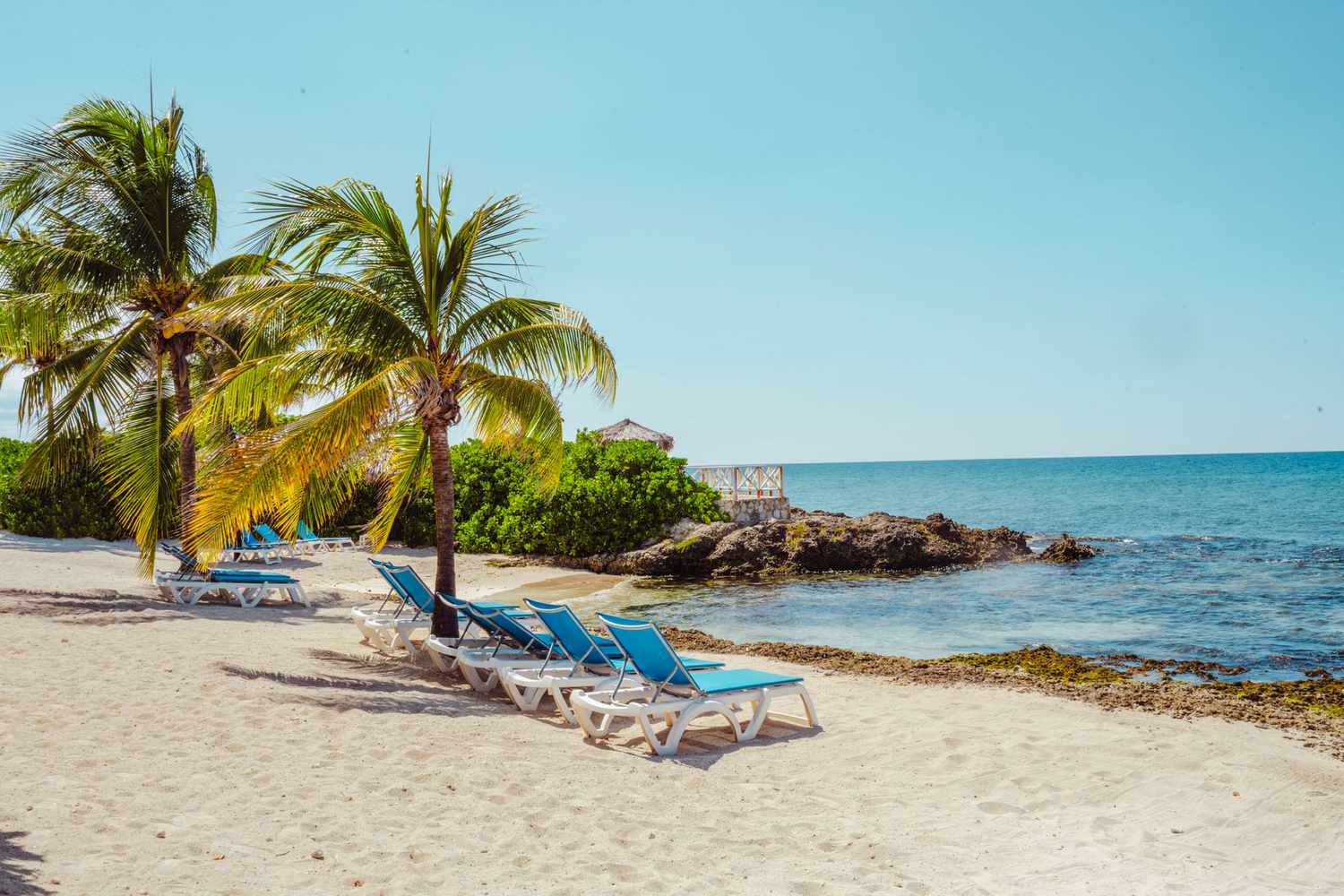 Jamaica Unveiled: Insider's Guide to Unforgettable Island Rhythms 8