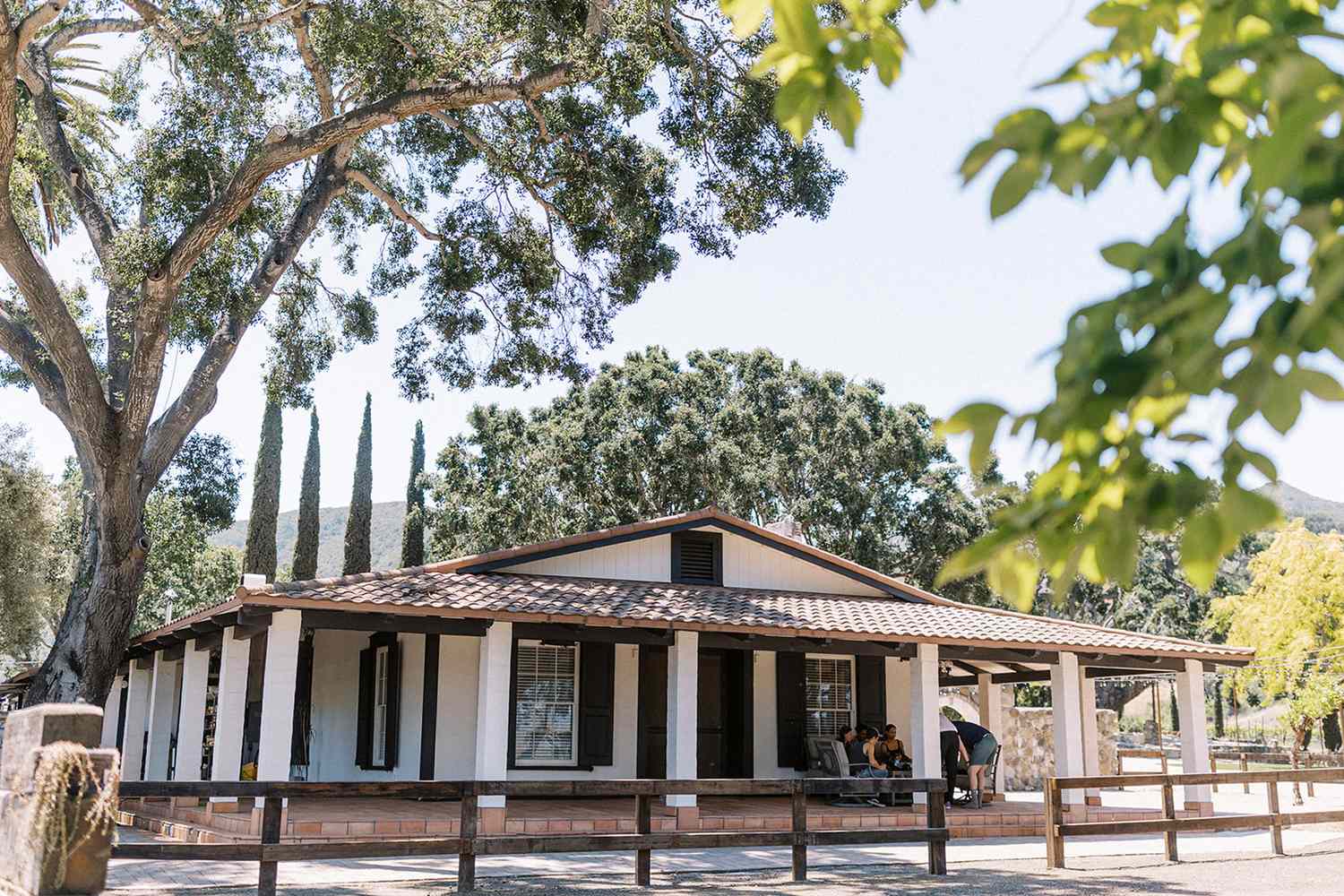 Buellton: Uncorking the Santa Ynez Valley's Hidden Gems 12