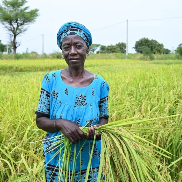 Africa’s Untapped Potential: Why Global Leaders Are Missing the Sourcing&hellip;