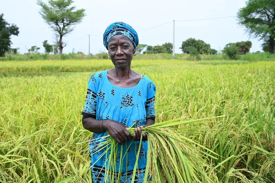 Africa's Untapped Potential: Why Global Leaders Are Missing the Sourcing Revolution 3